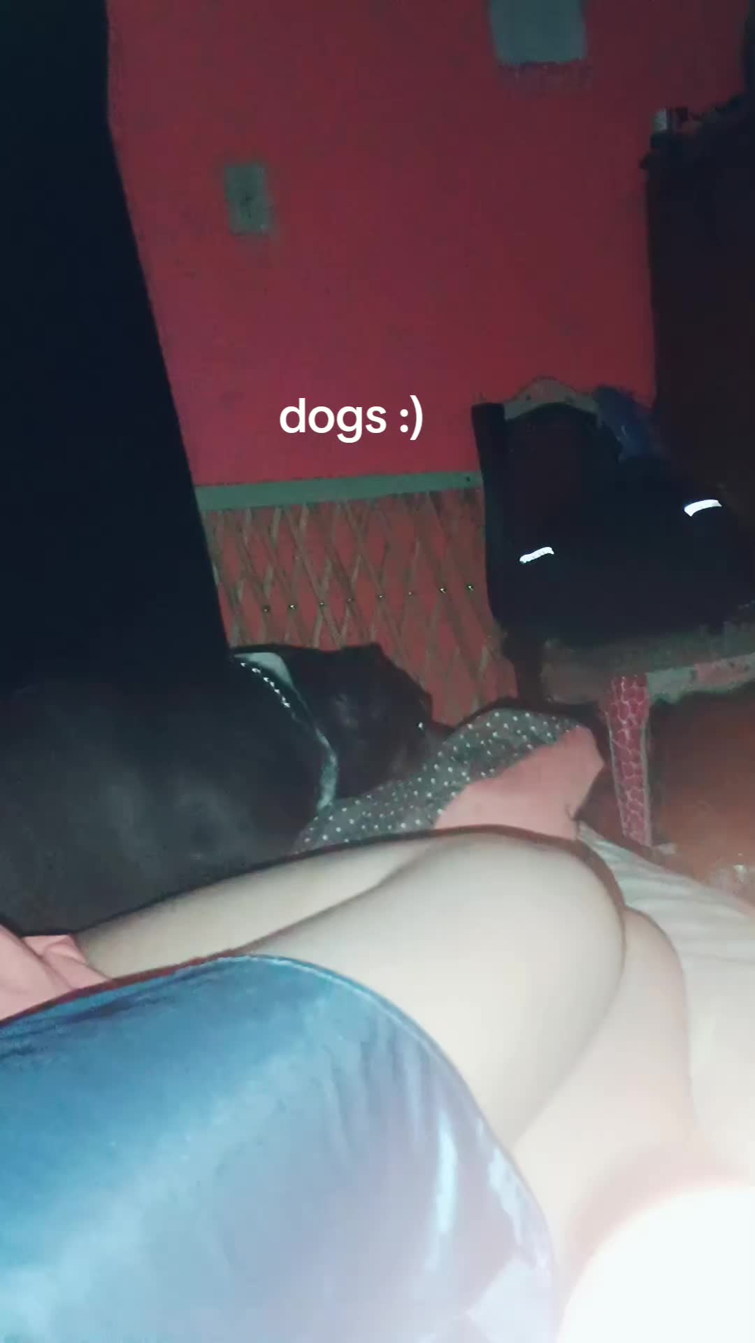 @Dragongamer0