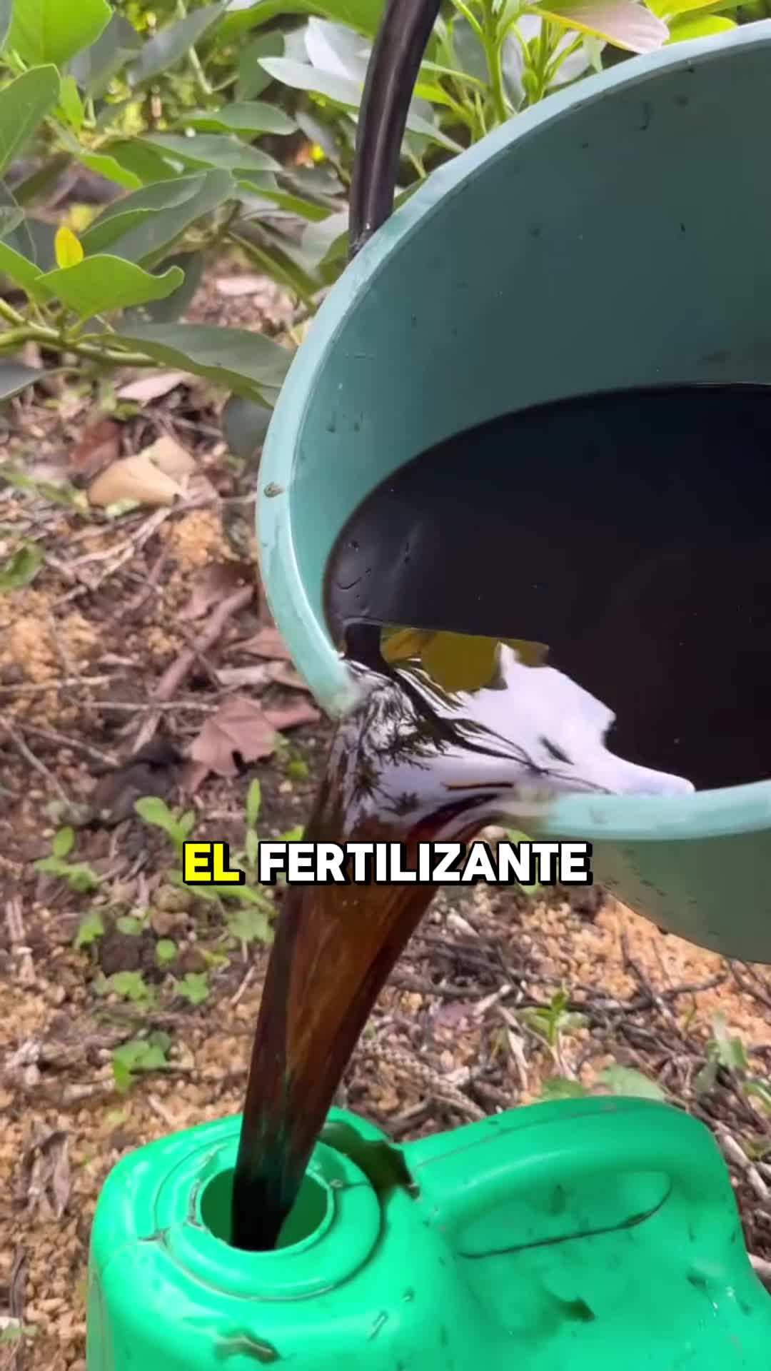 @Tu jard&iacute;n en casa