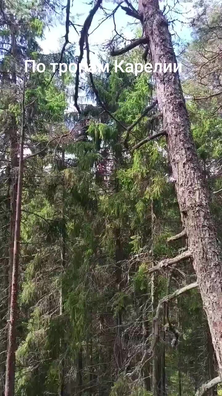 @Дмитрий Бондарь