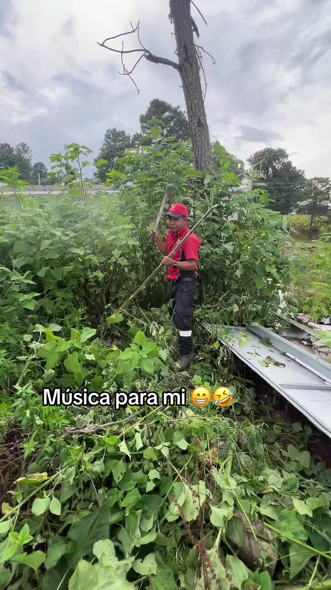 @🤍El chino divertido 502🤍🇬🇹
