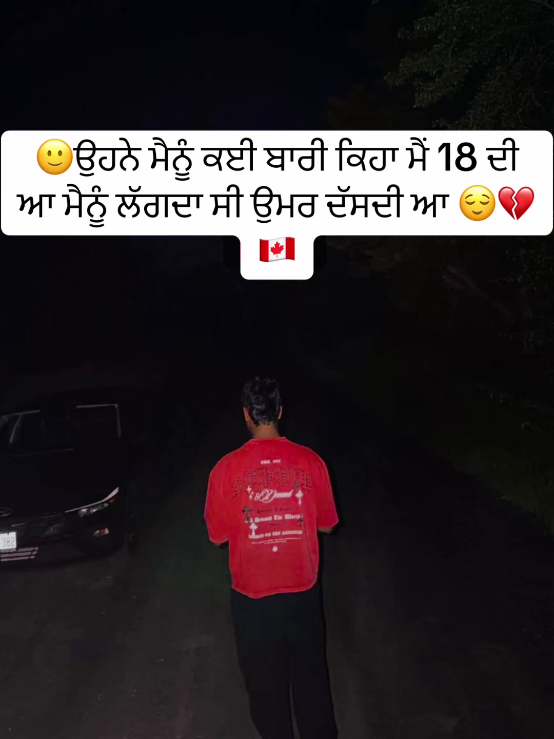 @vehlijanta761