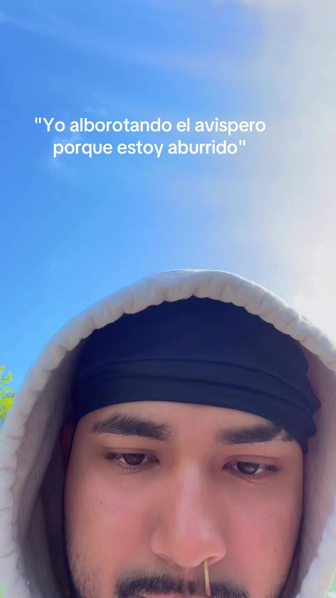 @Deglys_El_Nica
