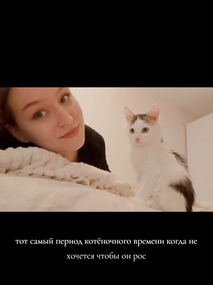 @nastinn