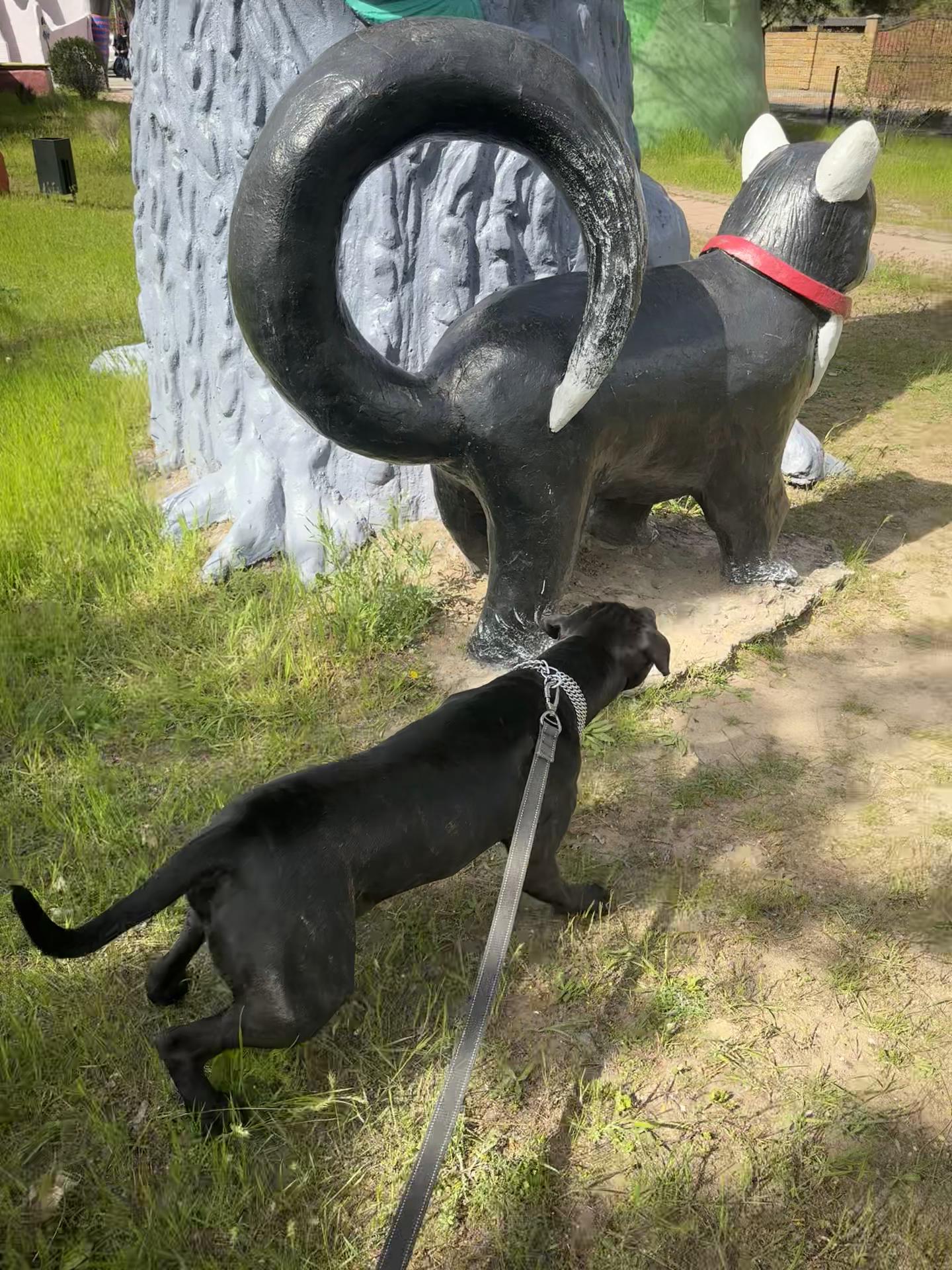 @З.О.Р.Я