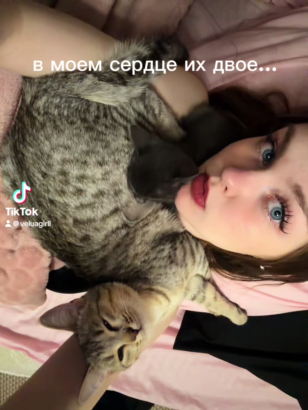 @азалка
