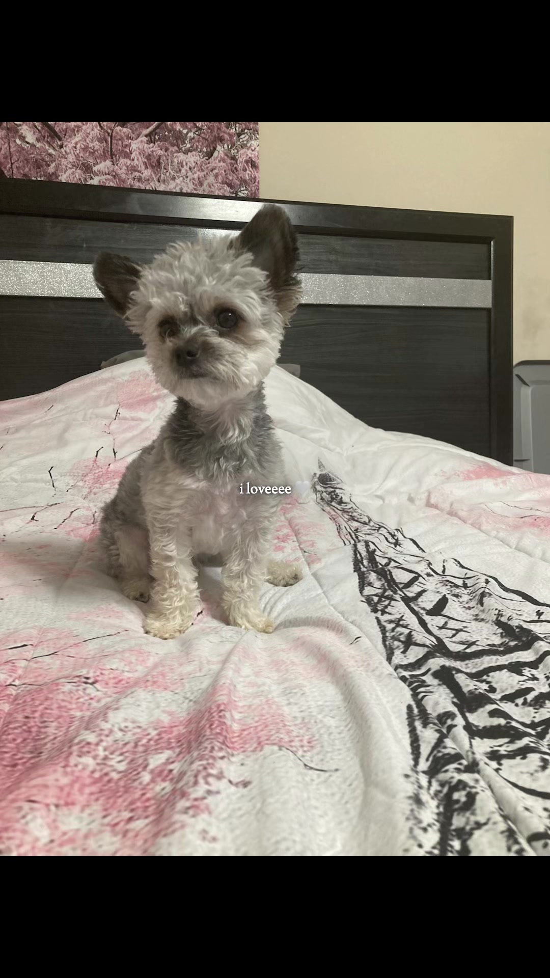 @Keke200620