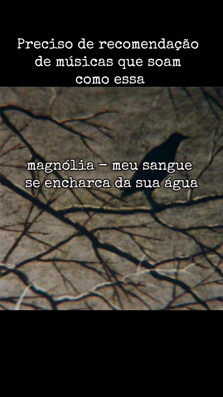 @João Victor Correia