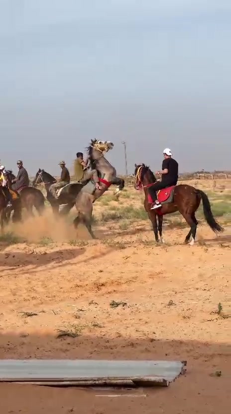 @حبيب اجويبر