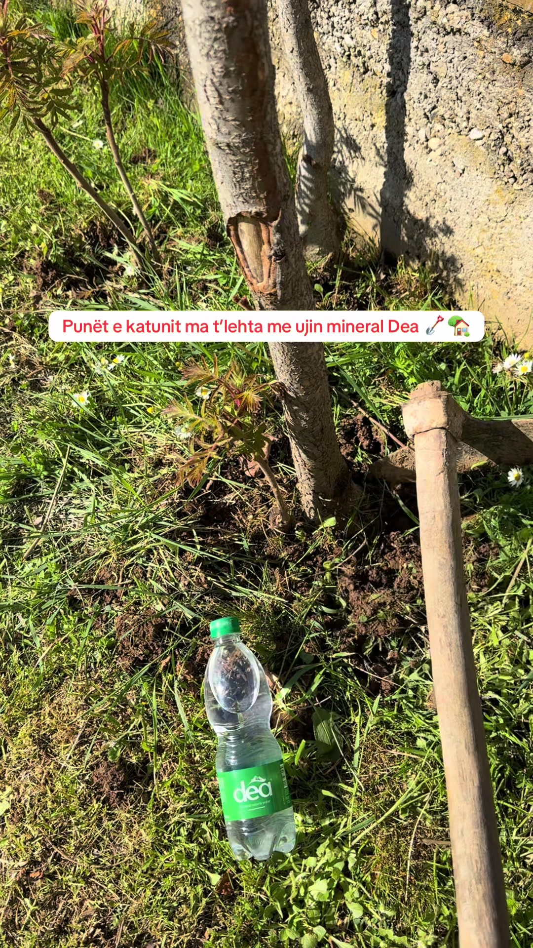 @Uj&euml; Dea
