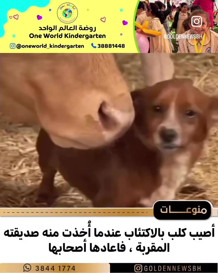 @غدران البلوشي