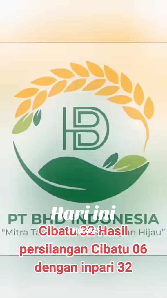 @PT. BHD INDONESIA