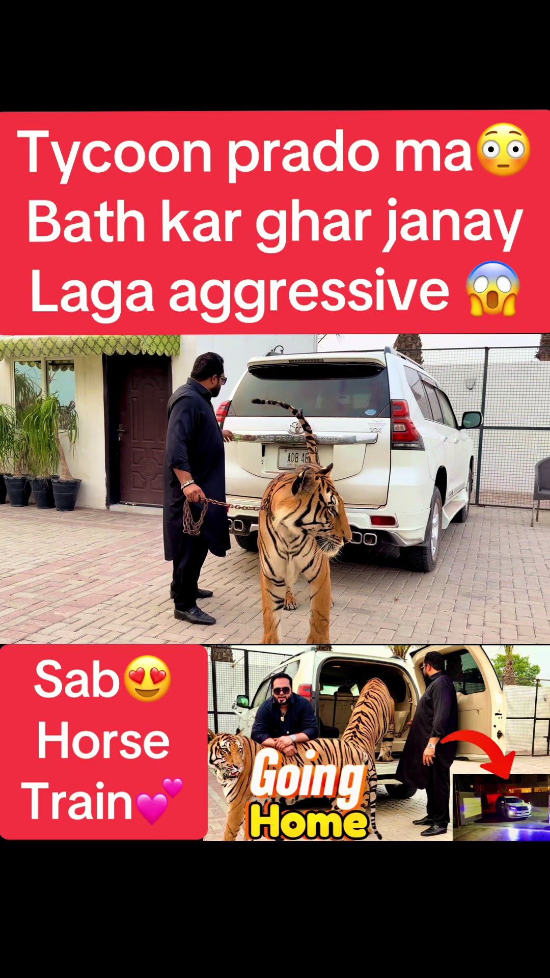 @Mian saqib