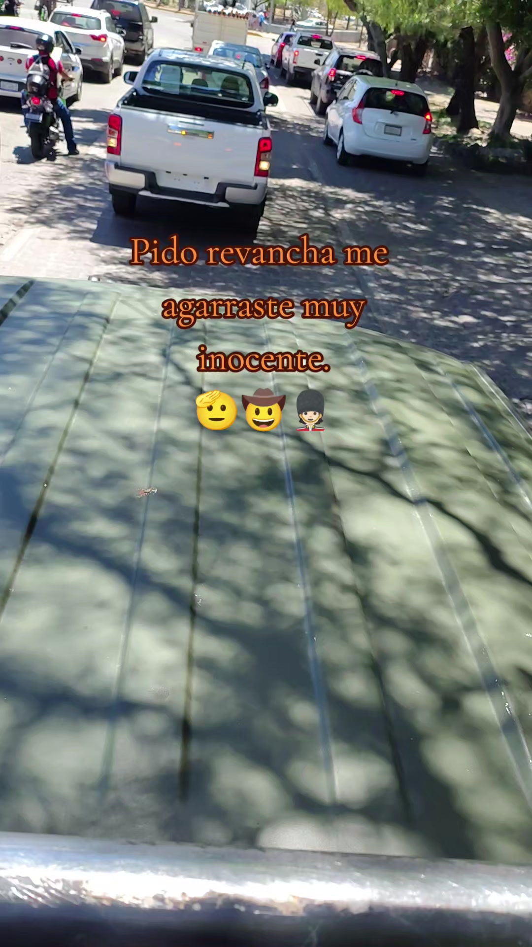 @vaquero 🪶 🤠💚💂🐎🌵🪶