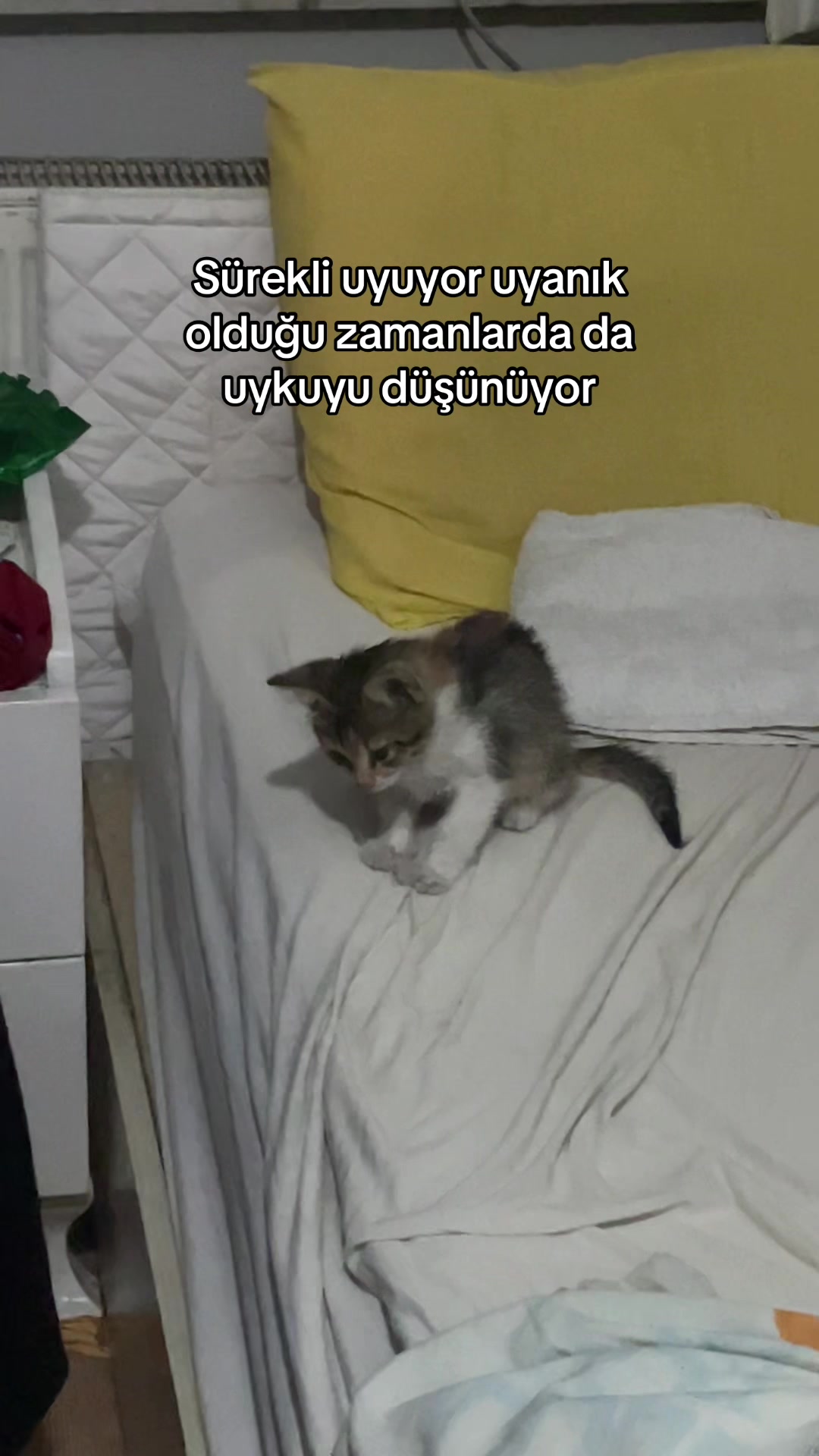 @ÖMER.LİON