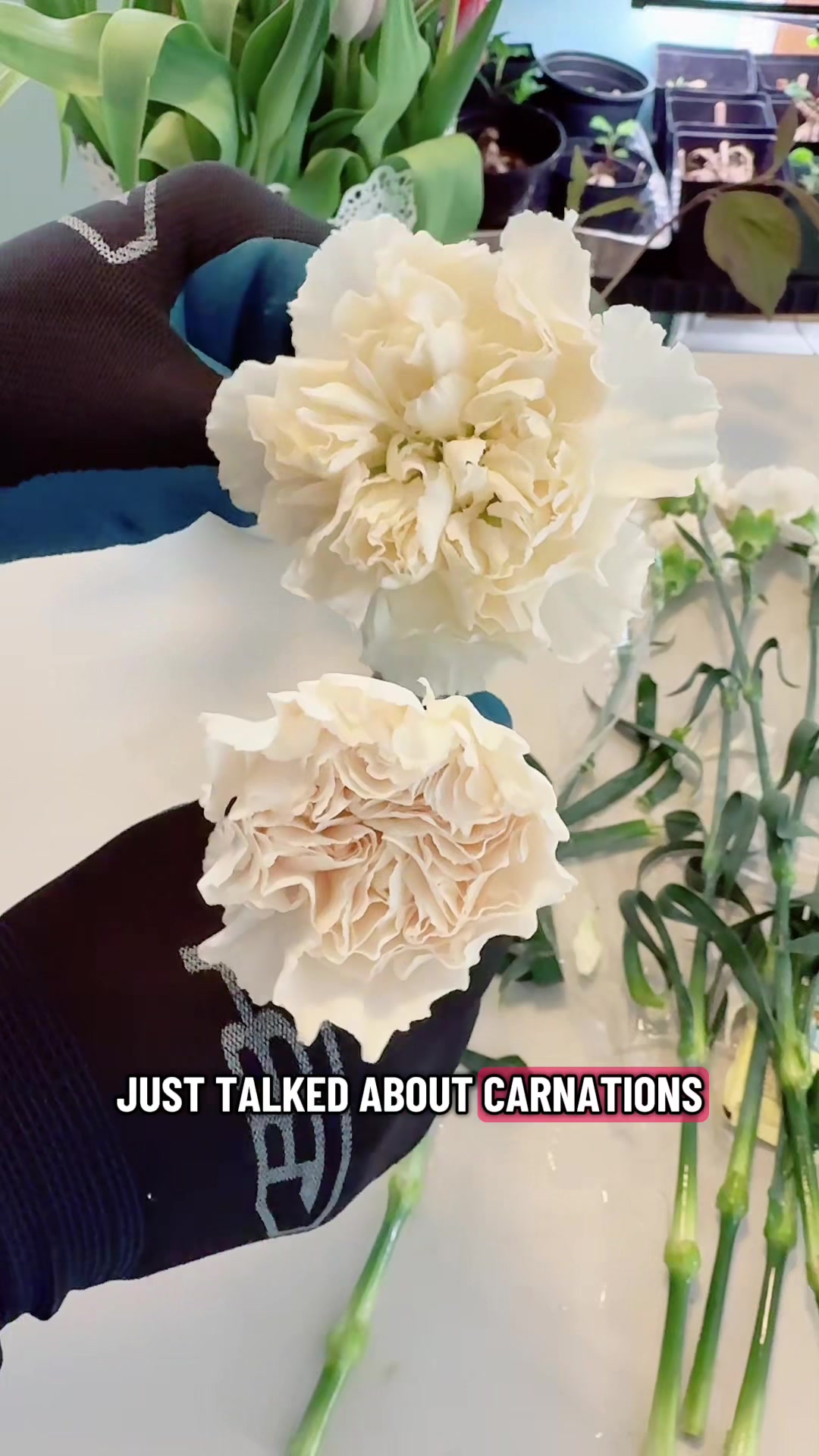 @Liv Floral