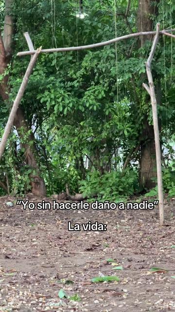@Michael Enrrique Guevara