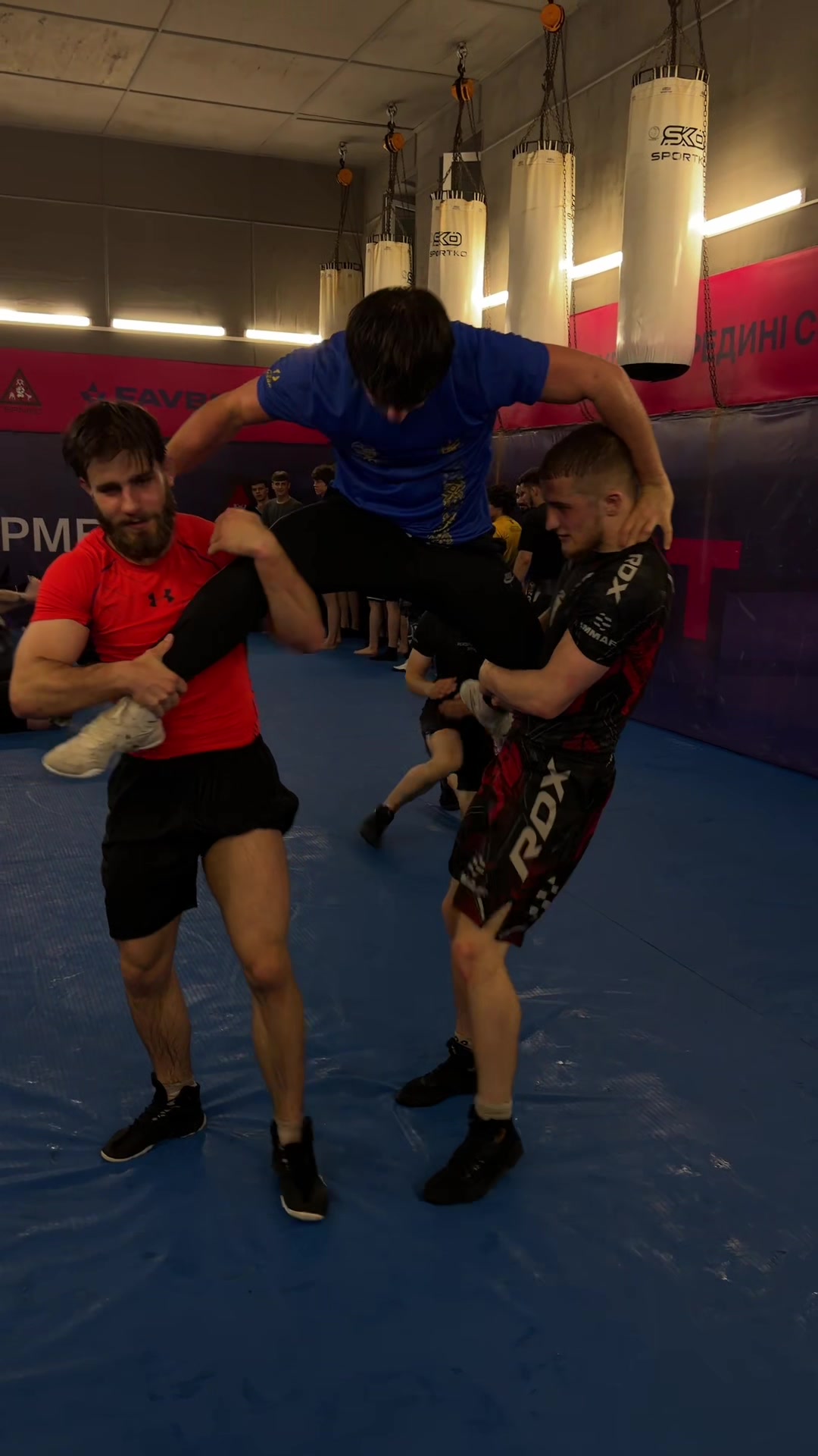 @Инст:gudzchamp