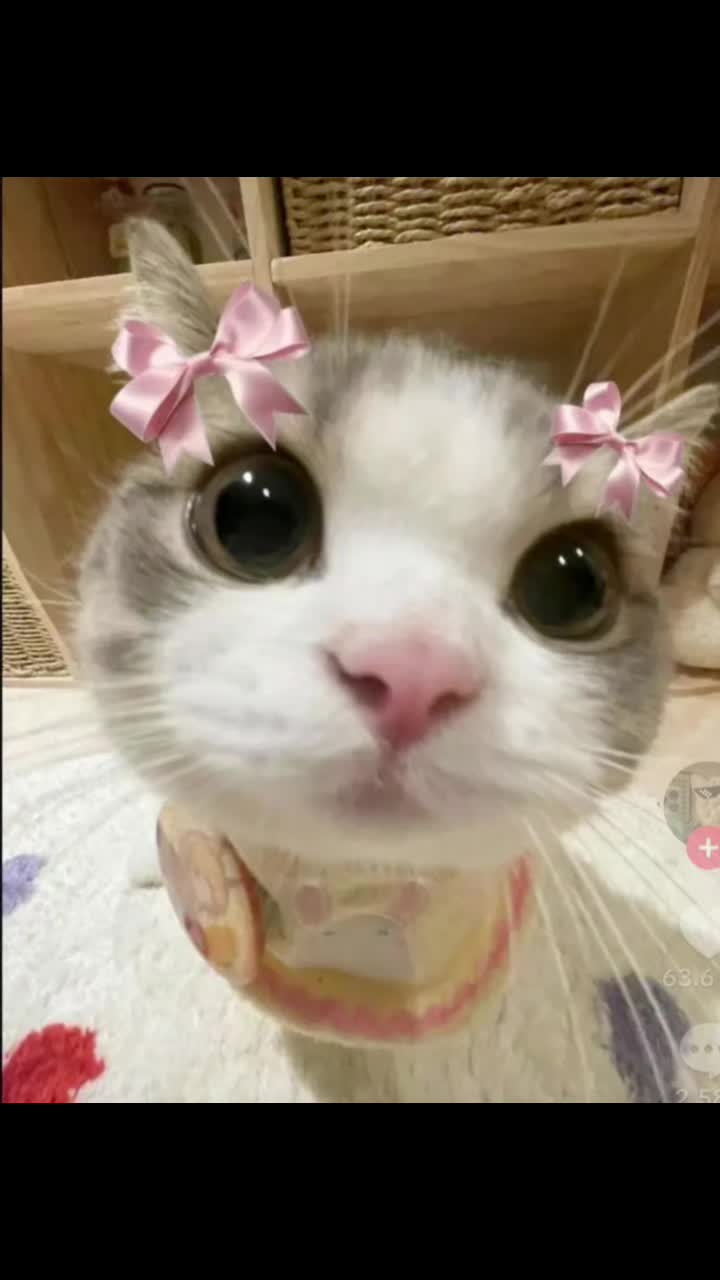 @Sindy123!