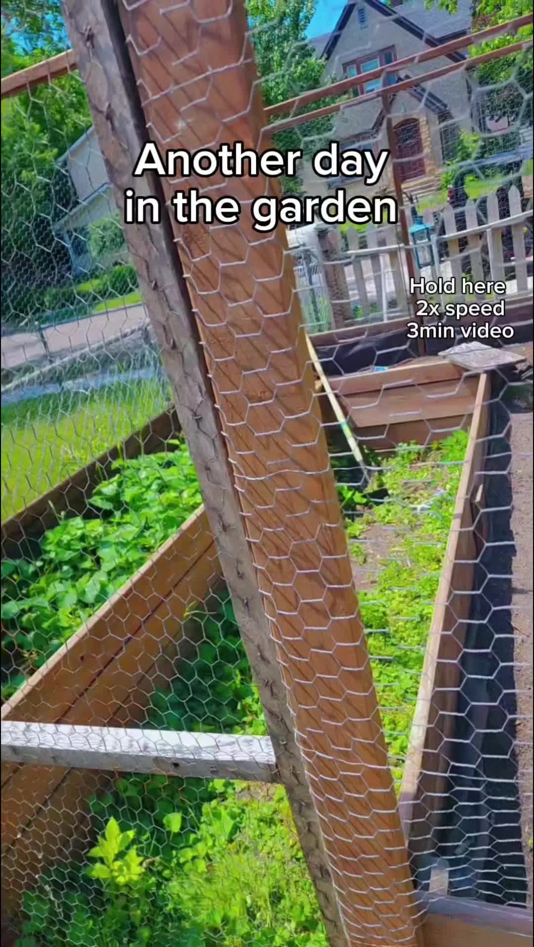 @Alicia ✨️🌱🐛