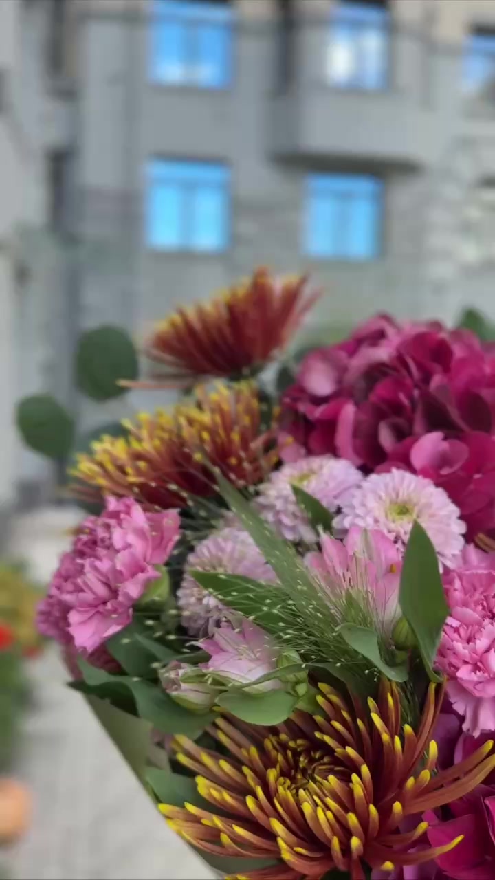 @Елена Скрипка