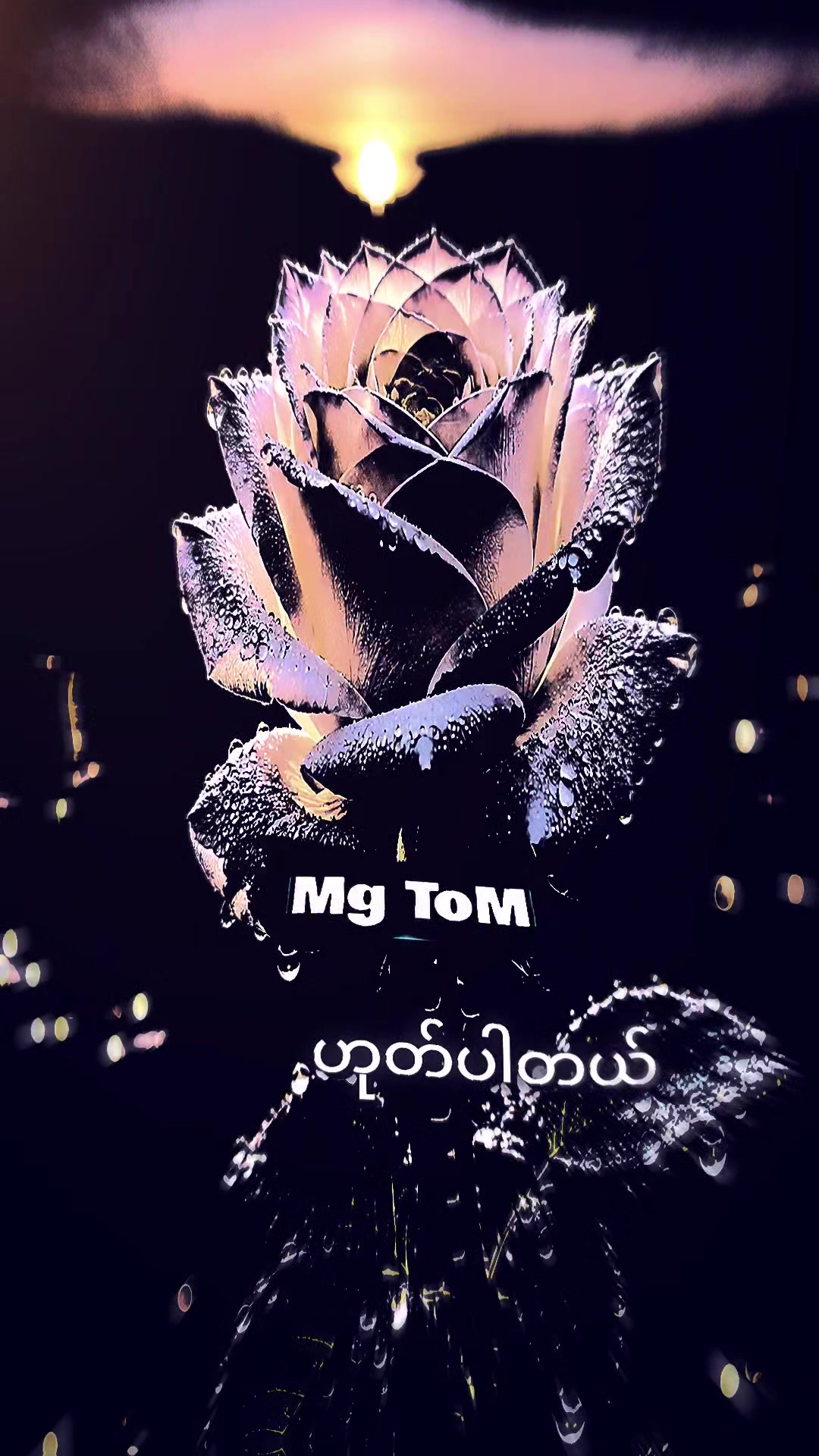 @Mg [ToM]&trade;✓V͇̿I͇̿P͇̿