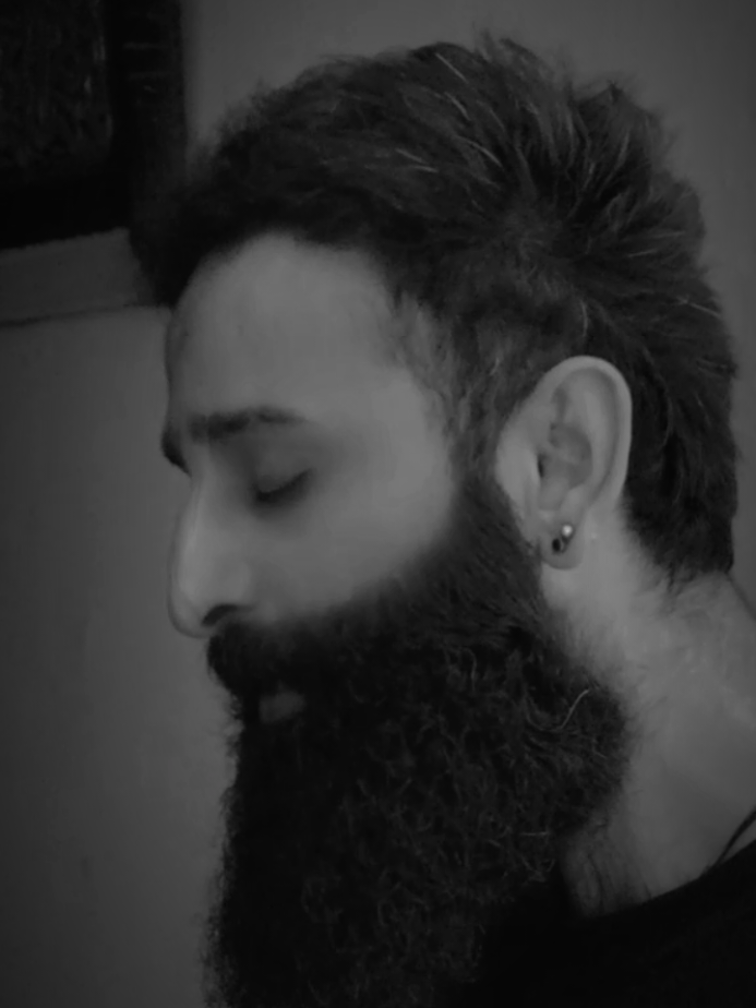 @syedalihussainina