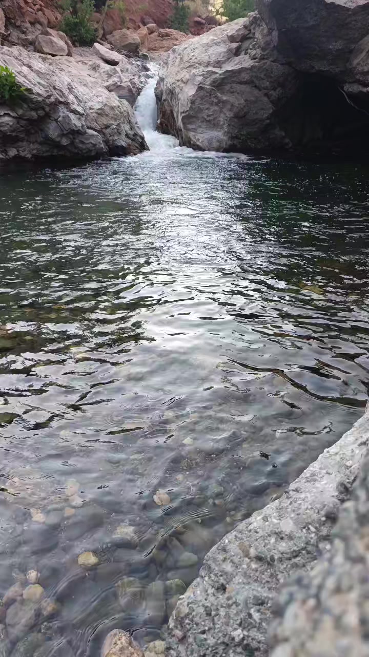 @hakkı saz4646