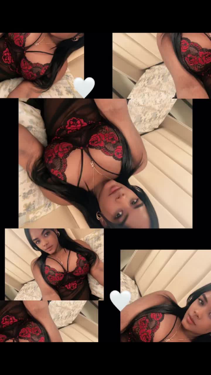 @roci_.fig_.cip
