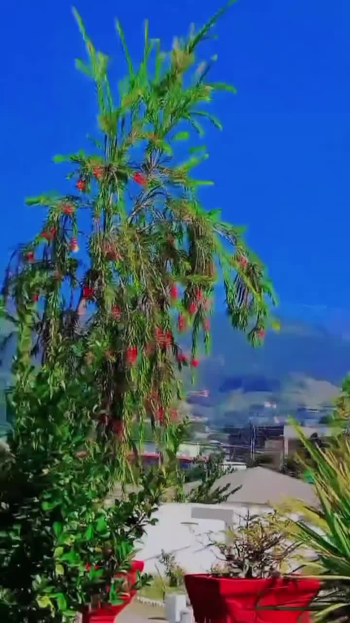 @️ᴀ ᴀʀᴍᴀɴ 💫