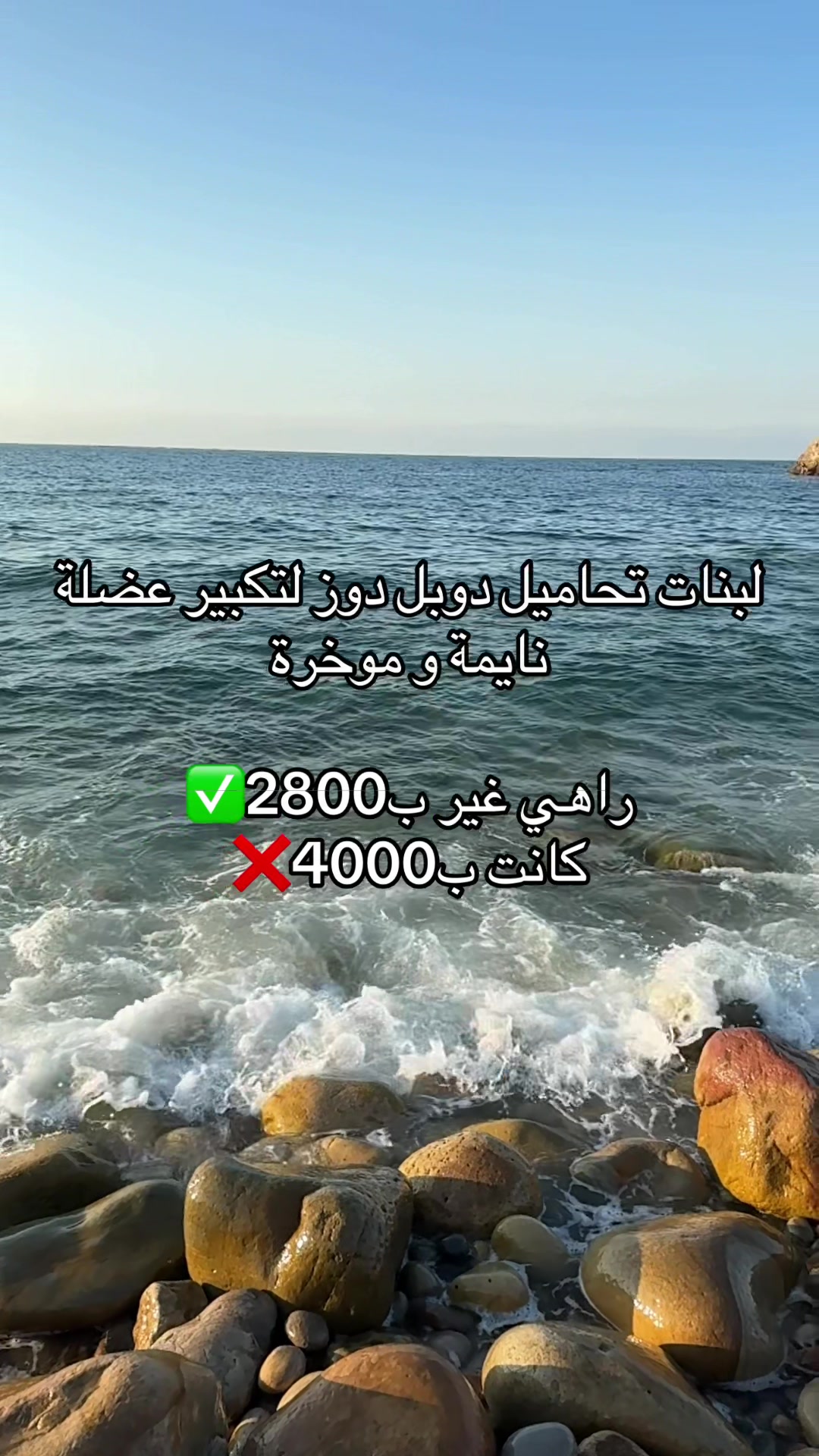 @souma_bio