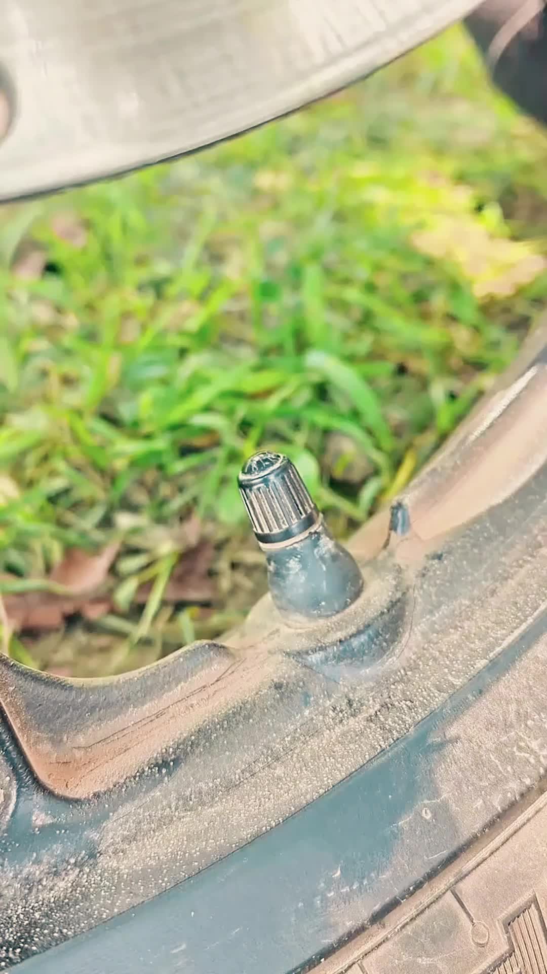 @fmdhdjv