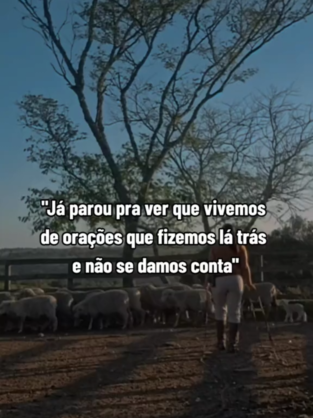 @Ga&uacute;cha