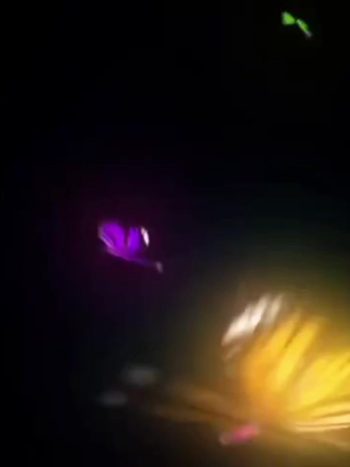 @💫𝕚𝕥’𝕤_𝕞𝕖_𝕊𝕒𝕝𝕞𝕒𝕟💫