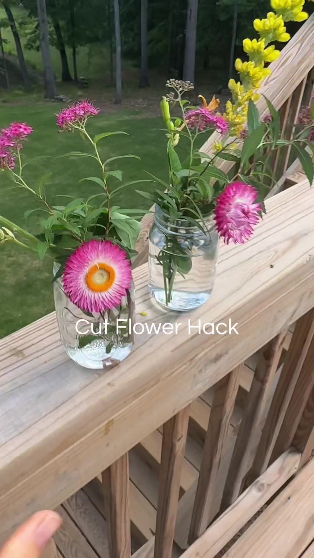 @How Grows It