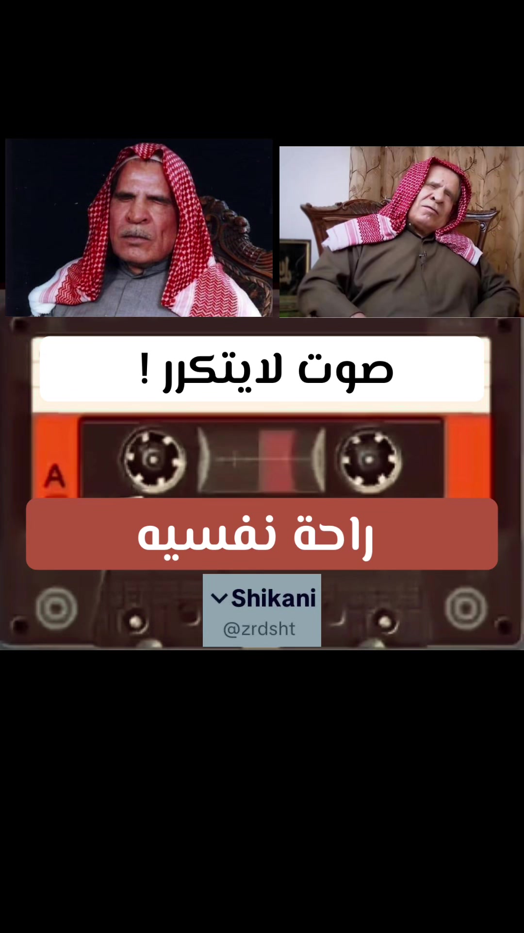 @Shexani