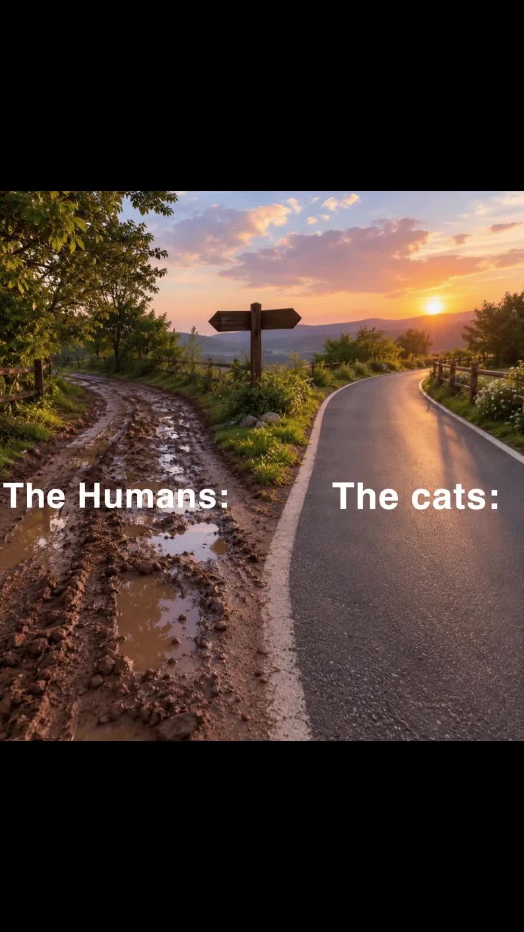 @๐๐๐๐ถ