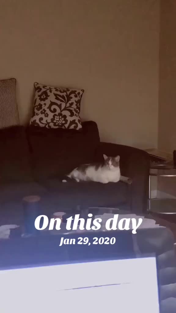 @CupcakeTheDestroyer
