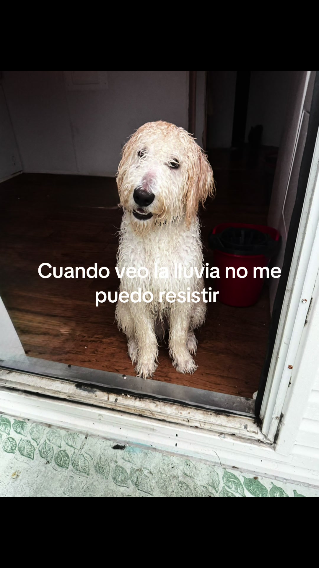 @Nany Martz