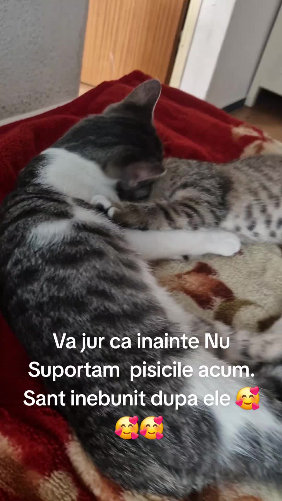 @filipo