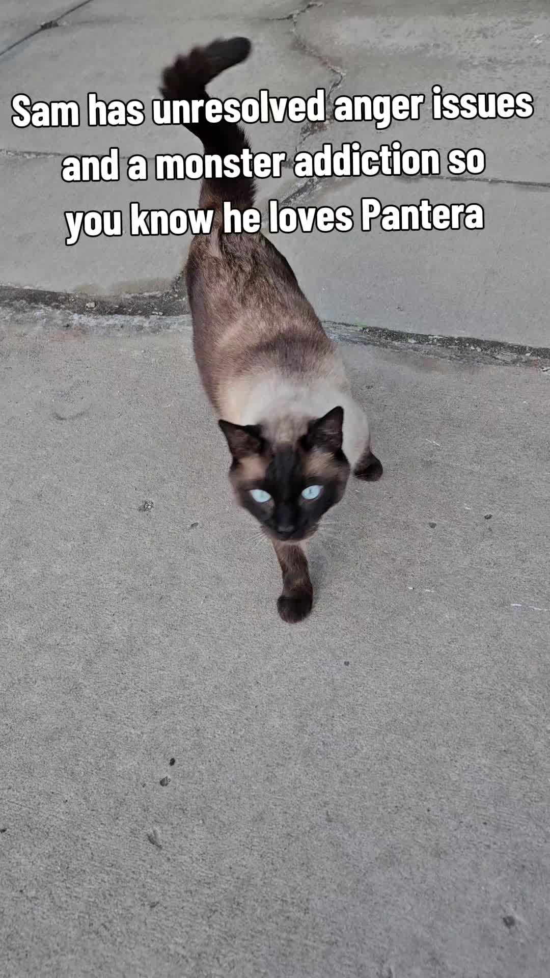 @rogerbiscuits