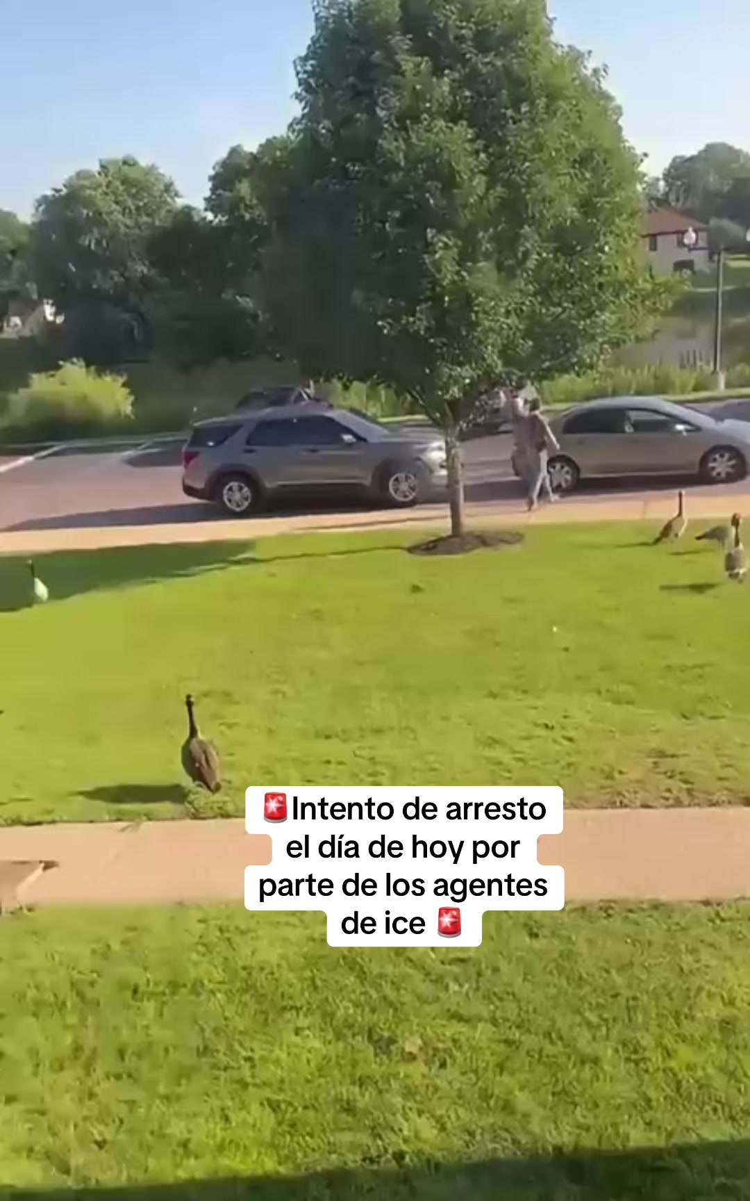 @smith noticias