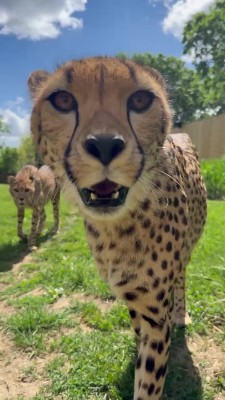 @Cincinnati Zoo