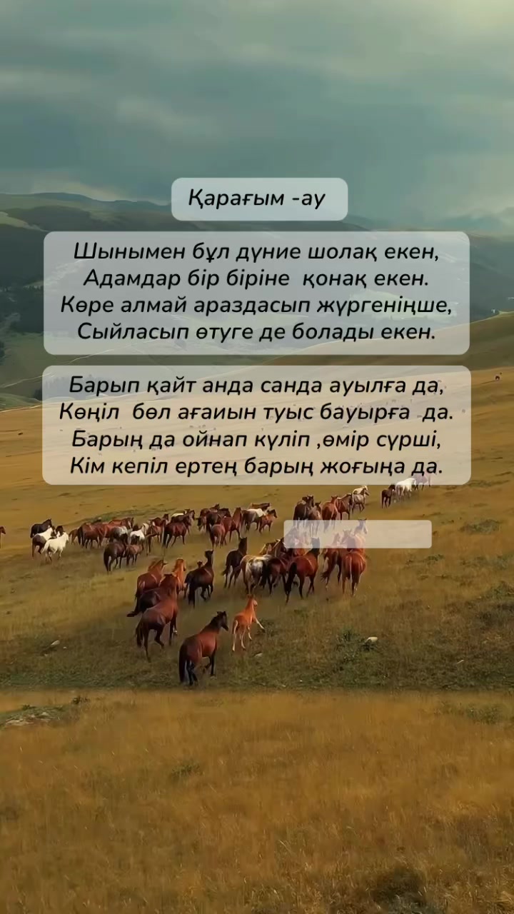 @Рахым Әбутәліп