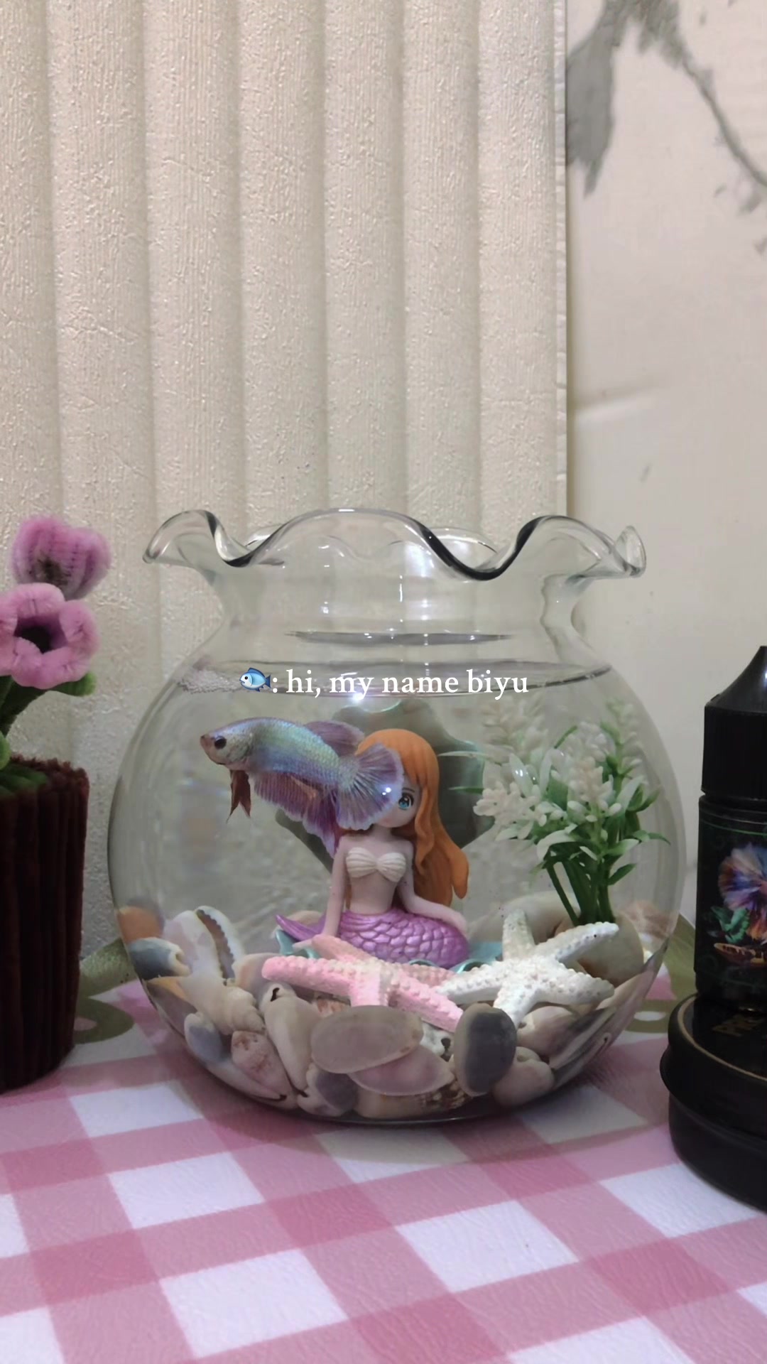 @ts🎀🌸