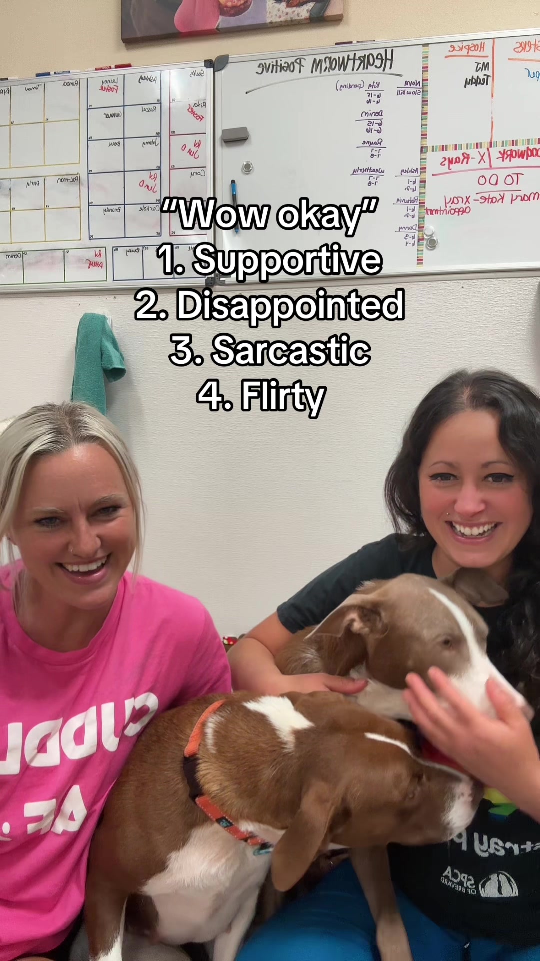 @2vettechs