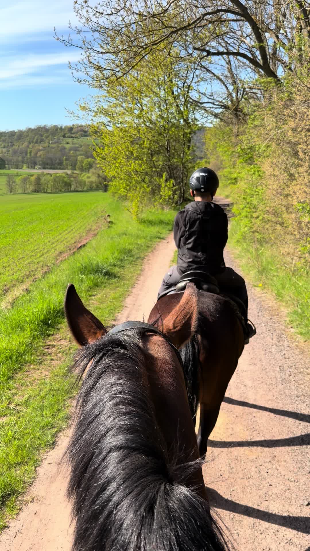 @Reitstall Freiberg