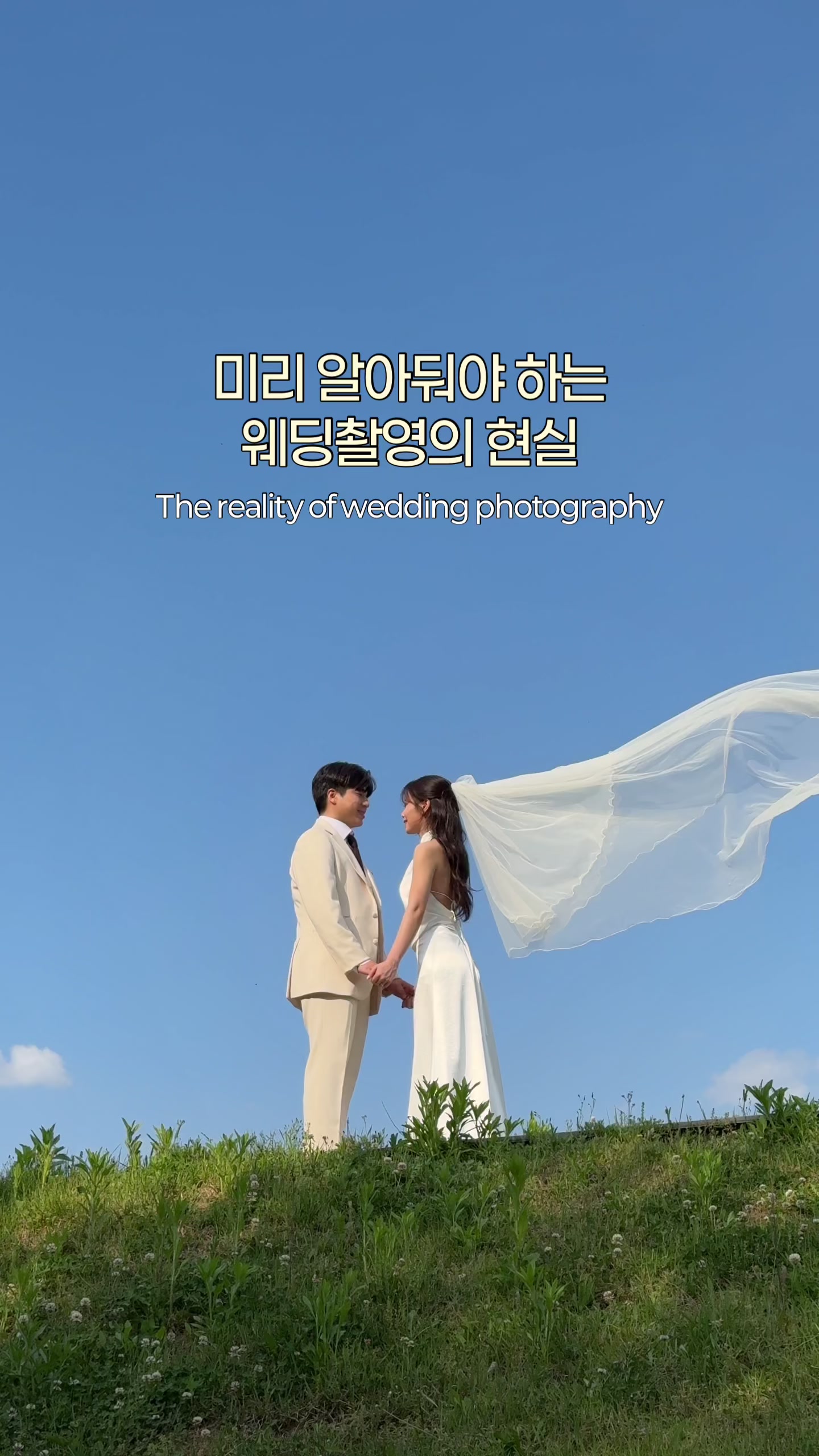@다제로 dazero