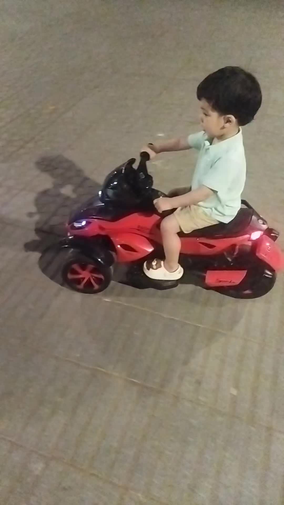 @tiger wolf