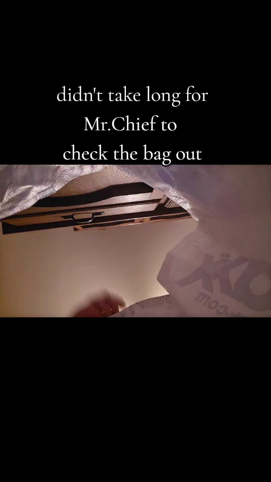 @Mr.Chief&Nova