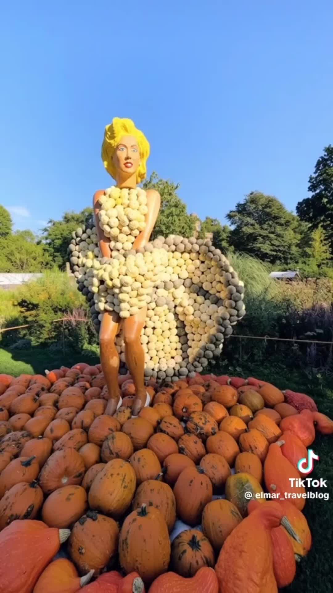 @thegermanexperience0